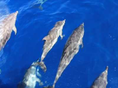 La Gomera - YOAS Yoga Retreats