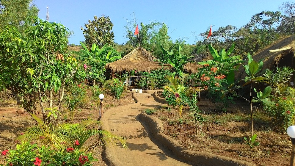Banyan Tree, Goa - yoga holiday - Yoga on a Shoestring