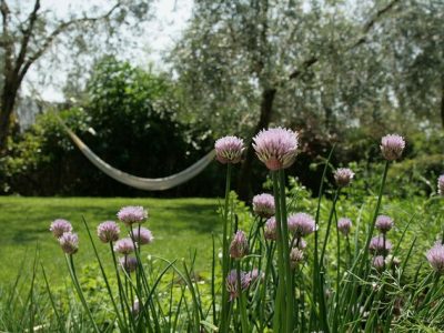 In Sabina Italy - YOAS Yoga Retreats