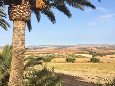 Suryalila Andalusia - YOAS Yoga Retreats