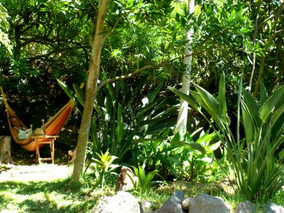 La Gomera - YOAS Yoga Retreats