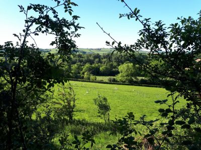 Eden Rise yoga retreat Devon - YOAS