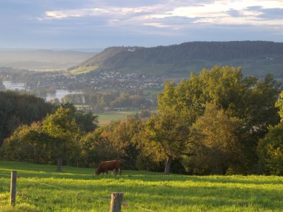 Devon - YOAS Yoga Retreats