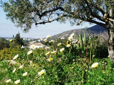 Quinta Mimosa, Loule, Portugal - YOAS holiday