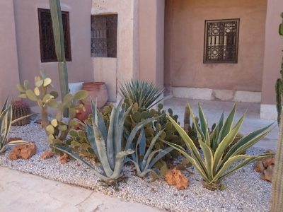 Tigmi Morocco - YOAS Yoga Retreats