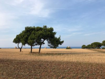 Masseria della Zingara, Puglia - YOAS holiday