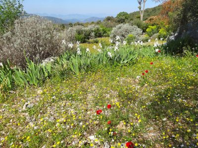 Huzur Vadisi Turkey - YOAS Yoga Retreats