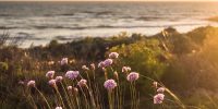 Cocoon Portugal - YOAS Yoga Retreats