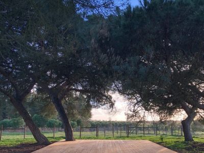 Portugal - YOAS Yoga Retreats