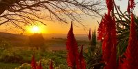 Suryalila Andalusia - YOAS Yoga Retreats