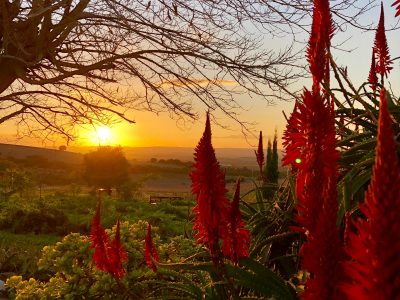 Suryalila Andalusia - YOAS Yoga Retreats