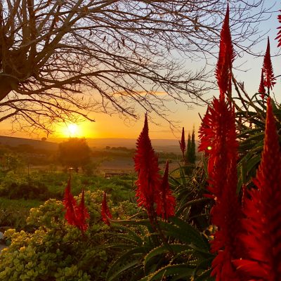 Suryalila Andalusia - YOAS Yoga Retreats