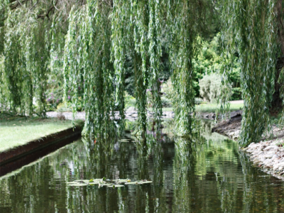 The Quaives, Kent - yoga retreat uk - Yoga on a Shoestring - YOAS