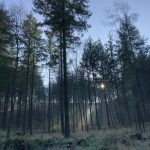 42 Acres - YOAS Yoga Retreats