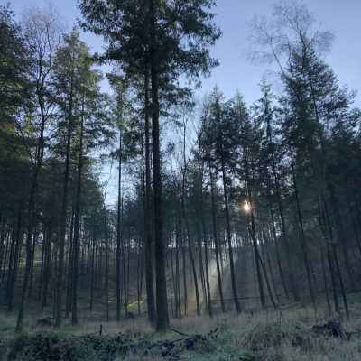 42 Acres - YOAS Yoga Retreats