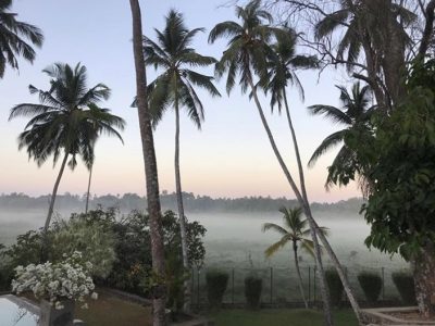 Sri Lanka - YOAS Yoga Retreats