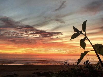 Villa Mandala Morocco - yoga surf retreat - YOAS