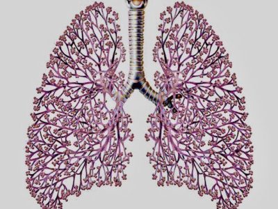 Virtual Breath Yoga Retreat - Yoga on a Shoestring Retreats - yoga - YOAS