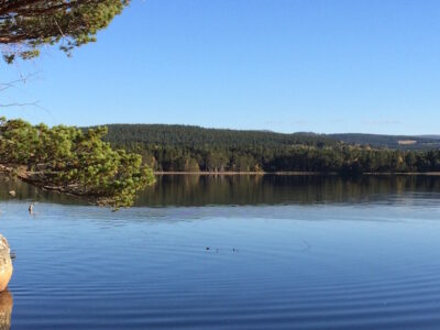 Cairngorms - YOAS Yoga Retreats