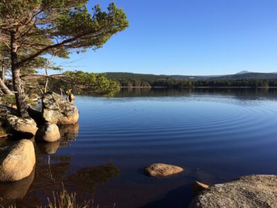 Cairngorms - YOAS Yoga Retreats