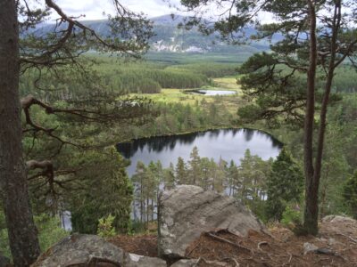 Cairngorms - YOAS Yoga Retreats