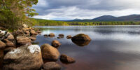 Cairngorms - YOAS Yoga Retreats