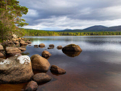 Cairngorms - YOAS Yoga Retreats