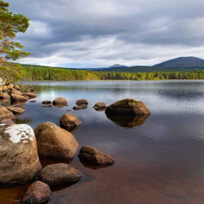 Cairngorms - YOAS Yoga Retreats