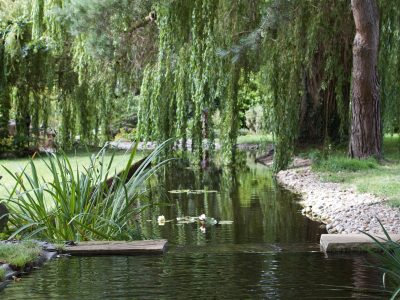 The Quaives, Kent - yoga retreat uk - Yoga on a Shoestring - YOAS