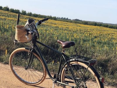 Cocoon Portugal - YOAS Yoga Retreats