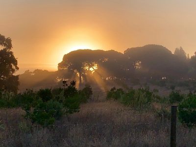 Portugal - YOAS Yoga Retreats