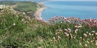 Dorset - YOAS Yoga Retreats