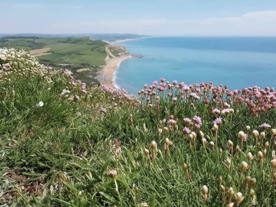 Dorset - YOAS Yoga Retreats