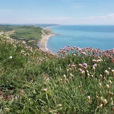 Dorset - YOAS Yoga Retreats