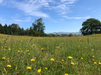 Lake District - YOAS Yoga Retreats