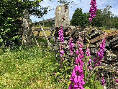 Lake District - YOAS Yoga Retreats