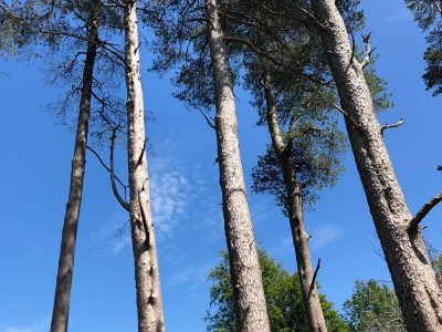 Lake District - YOAS Yoga Retreats