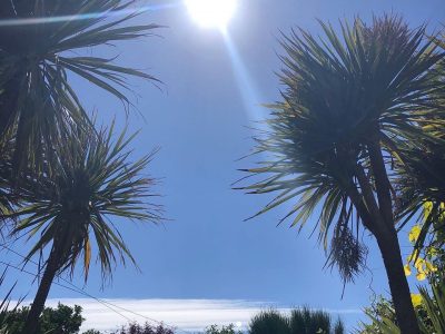 Almeria - YOAS Yoga Retreats