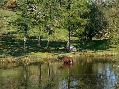 Lake District - YOAS Yoga Retreats