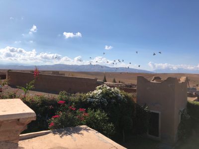 Tigmi Morocco - YOAS Yoga Retreats
