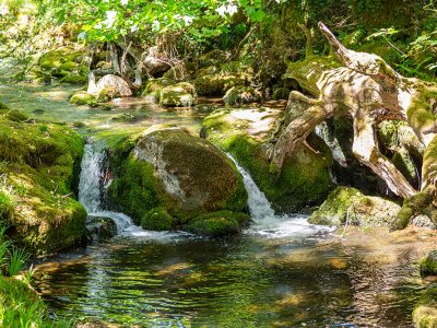 Dartmoor - YOAS Yoga Retreats