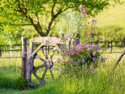 Dartmoor - YOAS Yoga Retreats