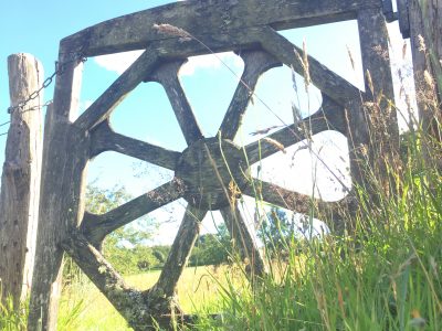 Dartmoor - YOAS Yoga Retreats
