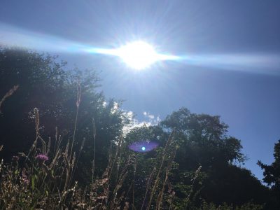 Dartmoor - YOAS Yoga Retreats