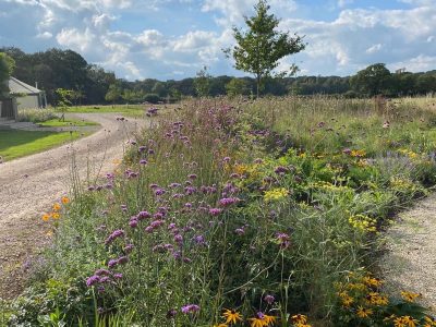 Somerset - YOAS Yoga Retreats