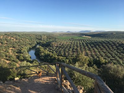 Cortijo San Jose Andalusia - YOAS Yoga Retreats