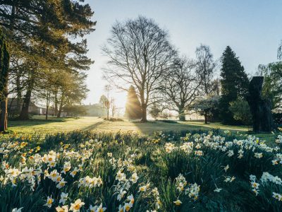 Norfolk - YOAS Yoga Retreats