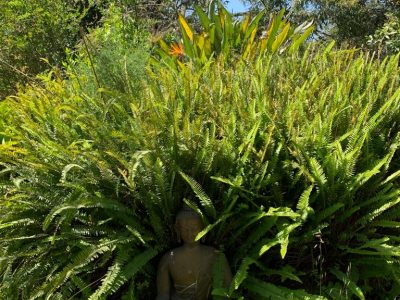 Ibiza - YOAS Yoga Retreats