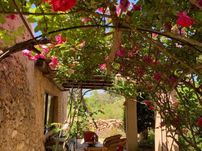Ibiza - YOAS Yoga Retreats