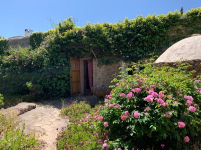Ibiza - YOAS Yoga Retreats